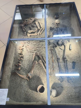 WhatsApp Image 2025-05-21 at 14.24.38.jpeg