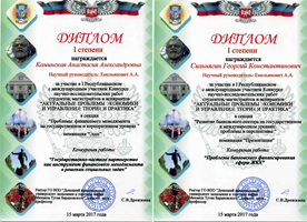 Студенты ФЭМГО заняли призовые места в международном конкурсе научно-исследовательских работ в Донецке  