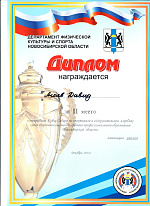 Хип-хоп команда «Bizz Up Crew»