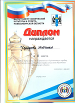 Хип-хоп команда «Bizz Up Crew»