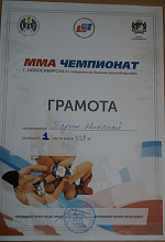 Победитель чемпионата Новосибирска по смешанным боевым единоборствам