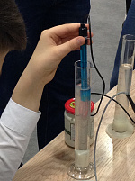 Год экологии