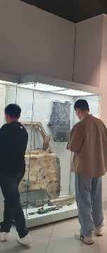 WhatsApp Image 2025-05-21 at 15.33.03.jpeg