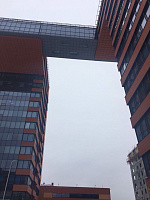 Год экологии