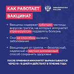 Защита от гриппа – вакцинация
