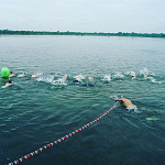 Чемпионат Новосибирской области по плаванию в ластах