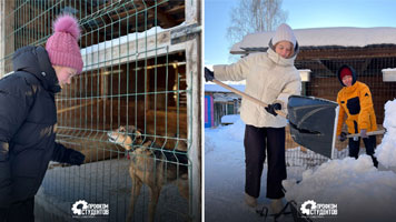 Студенты Сибстрина подарили тепло и заботу бездомным животным в Новый год