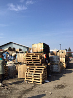 Немецкий проект GRÜN.DE