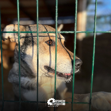 cr1_bIzQG8A7Mgv0rIE5eoxF9Vz96J-T5Di24ow7s8NeNZSqNaN2pnAZTl3bt9G4tBiMehqyAGVoIv2X4qiKzG66