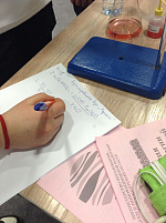 Год экологии