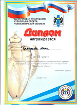 Хип-хоп команда «Bizz Up Crew»