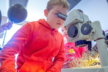 smart piknik (6)