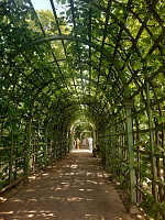 XVII Международный форум-конкурс студентов и молодых ученых Актуальные проблемы недропользования