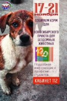 В Сибстрине проходит благотворительная акция в поддержку приюта для бездомных животных