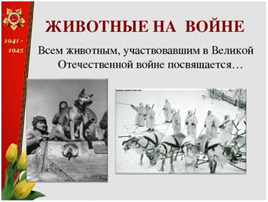 животные на войне.jpg
